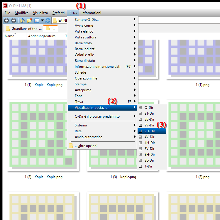 Cosa offre la visualizzazione 2H Dir in Quad File Explorer Q Dir